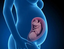 试管试管代怀生子多少钱（试管试管代怀的心理准备指南）